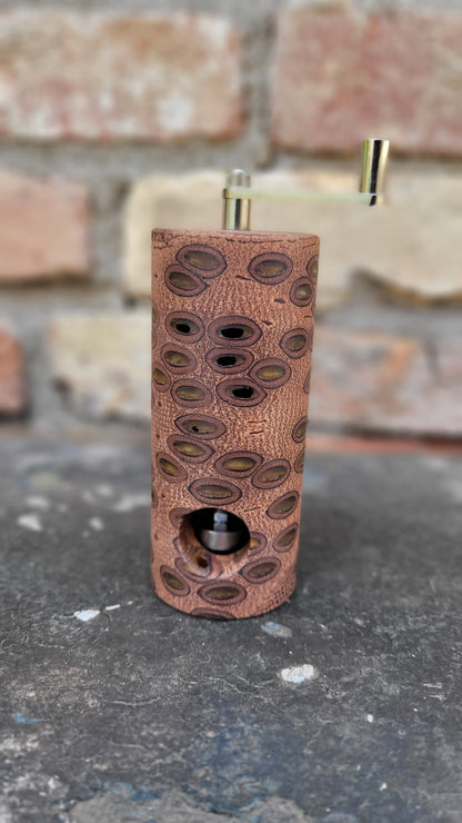 Muskatmühle Banksia-Zapfen mit Epoxy